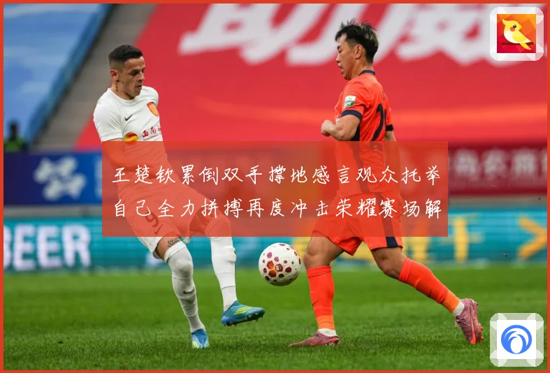 王楚钦累倒双手撑地感言观众托举自己全力拼搏再度冲击荣耀赛场解读-深度解析