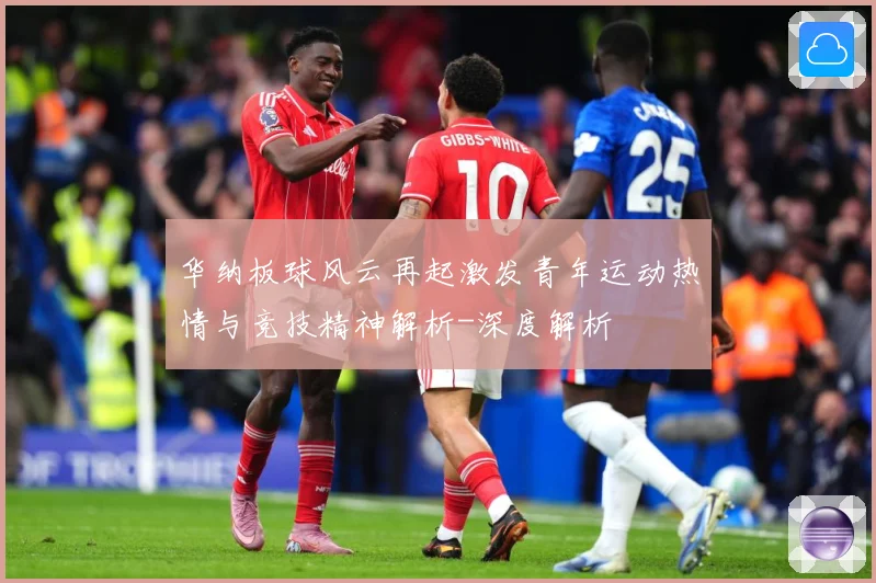 华纳板球风云再起激发青年运动热情与竞技精神解析-深度解析