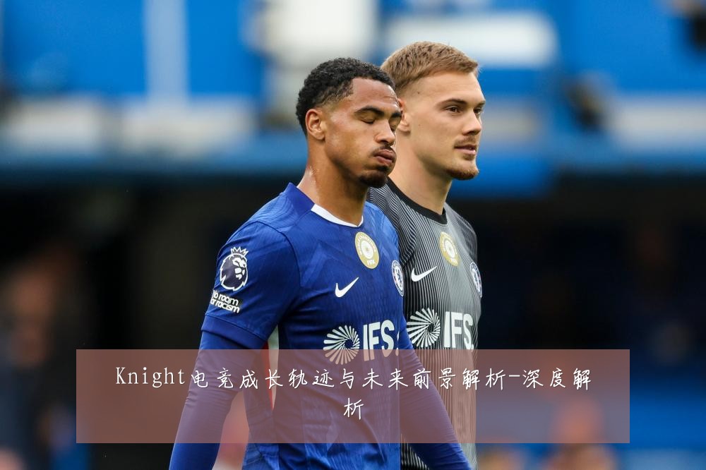 Knight电竞成长轨迹与未来前景解析-深度解析